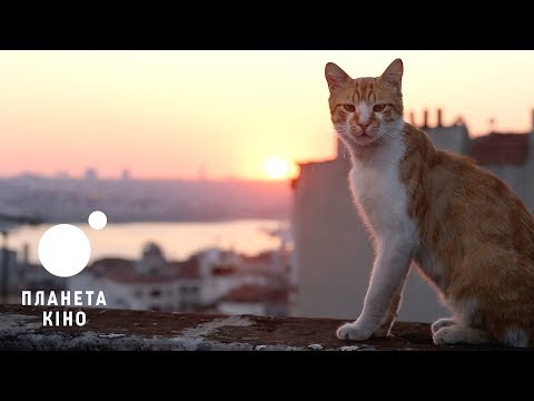 Джон Кейт Вассон - відео обкладинка