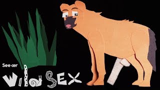 Female Hyenas Control Their Sex Lives With V’s That Look Like P’s
