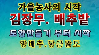 [텃밭농부. 1,178]  가을농사의 시작. 김장무 배추밭 토양만들기. 칼슘석회투입
