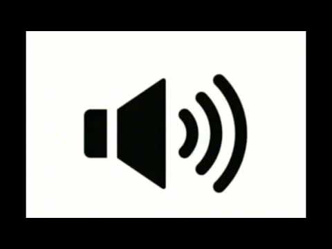 aí cachorro audio tiktok