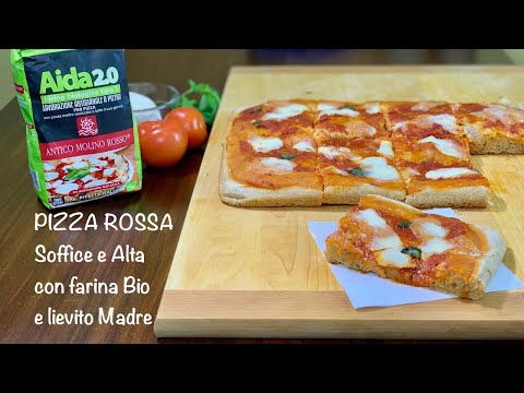 PIZZA ROSSA SOFFICE E ALTA con farina bio e lievito madre
