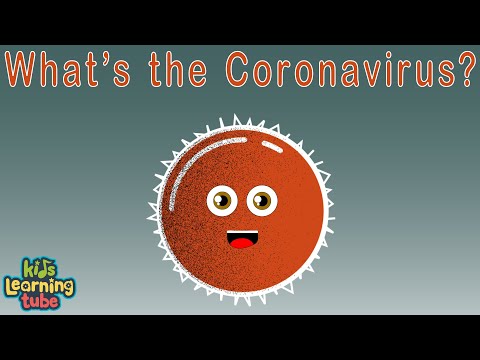 What Is Coronavirus  | Coronavirus Outbreak |KLT