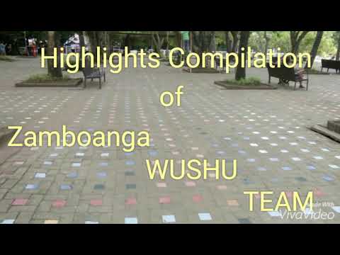 Wushu Sanda ZC Chapter Compilation