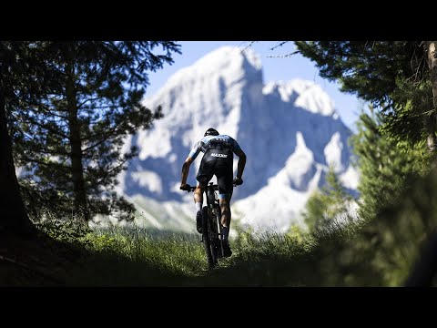 MAXXIS BIKE Transalp 2022