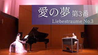 Download lagu F.リスト：愛の夢 第３番/ Liszt：Liebestraume - 3 notturnos S.541 R.211【ピアノ・エレクトーン】 mp3