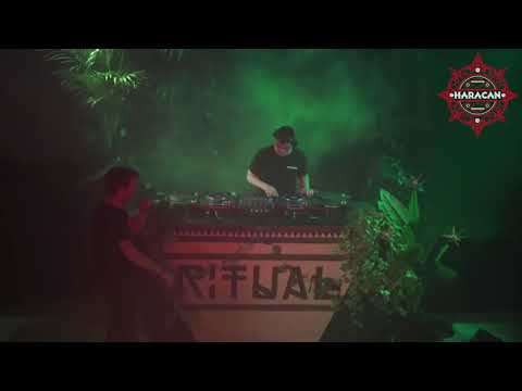 Haracan Essential Stream With MC Mush