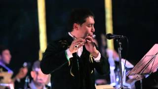 James Last - The lonely shepherd