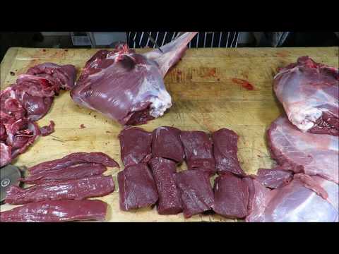 How To Butcher A Deer. Fallow Buck Butchery. #SRP