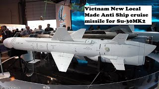 Advanced Vietnam New Anti Ship Cruise Missile VCM-01 for the Su-30MK2 aircraft , 2020