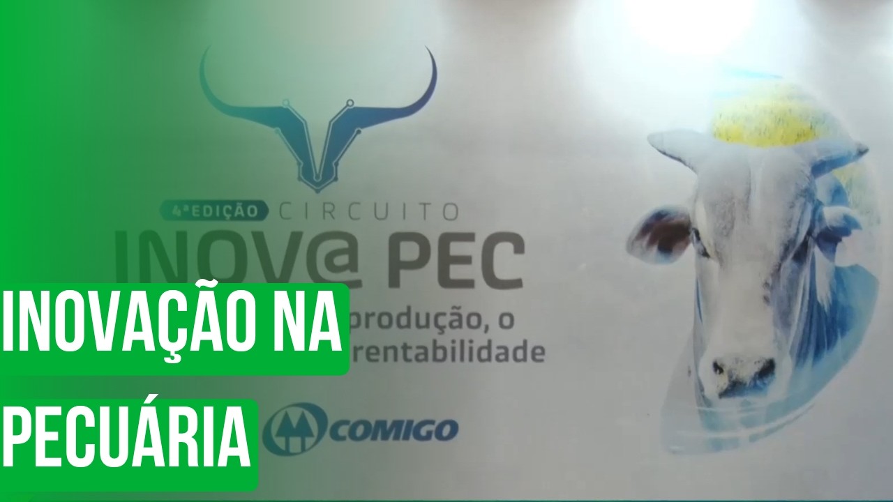 Inovação na pecuária
