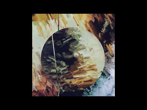 Delusional Circuits - Within [IO:006]