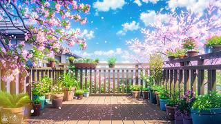The Last Beautiful Days Of Sakura Season 🌸 Japanese Morning Lofi 🌸 Spring Lofi To Feel Peaceful