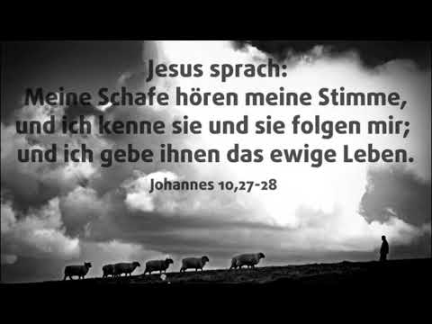 Johannes 10,27-28