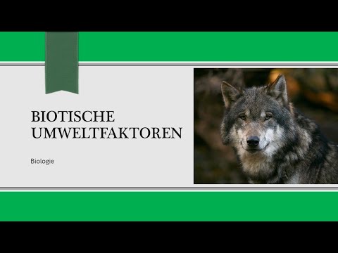 Biotische Umweltfaktoren