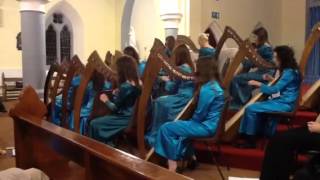 Princess Royale  - Irish Harp Orchestra ( youth troupe )