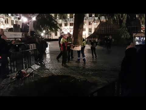 Sapin de Noël de Bruxelles: la Pose