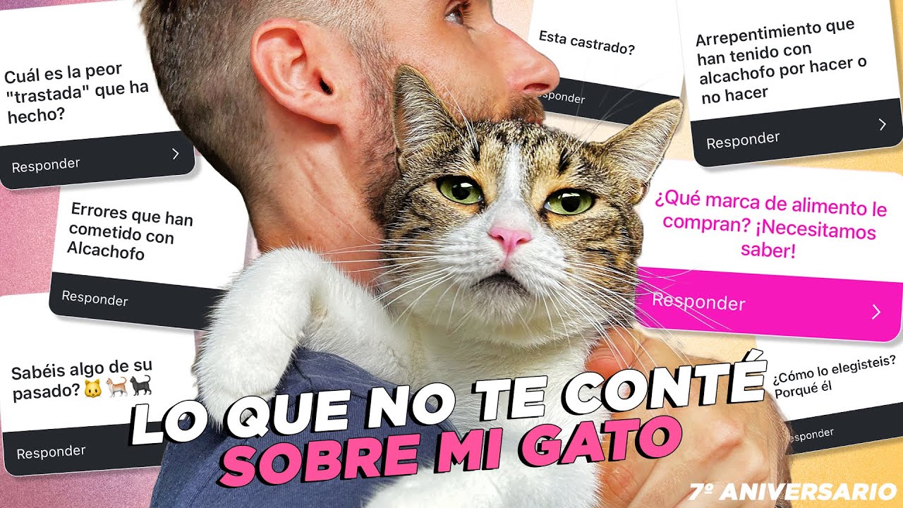 LO QUE NUNCA TE CONTÉ SOBRE MI GATO ALCACHOFO🐯 🐾 Preguntas y respuestas⁉️| Especial 7º aniversario 🎉