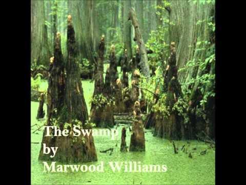 "The Swamp" Video by Marwood Williams