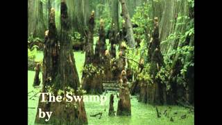 The Swamp Music Video