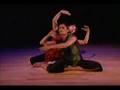 Counting The Moons - choreography: Anusha Kedhar/Cynthia Lee Music: Rob Levit/Greg Acker