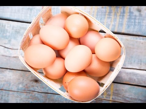 download lagu mp3 mp4 How To Boil An, download lagu How To Boil An gratis, unduh video klip How To Boil An