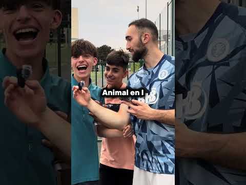 Alors vous avez un animal en M ? #jeux