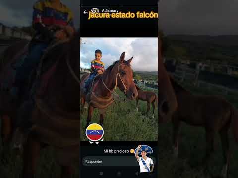 albur de amor Antonio Aguilar jacura estado falcón