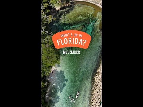 Your Florida Event Guide