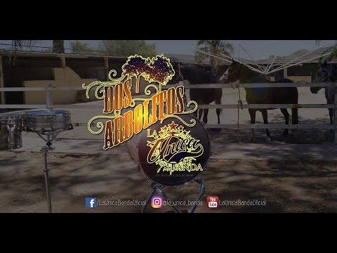 LA ÚNICA BANDA * 2 ARBOLITOS VIDEO OFICIAL