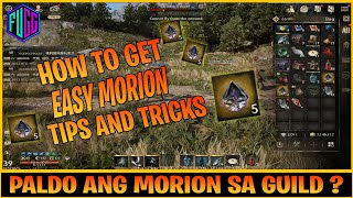 NIGHT CROWS - HOW TO FARM MORION EASY | PALDO GUILD SA MORION | DISMANTLE  TIPS AND TRICS (ENG.SUB)