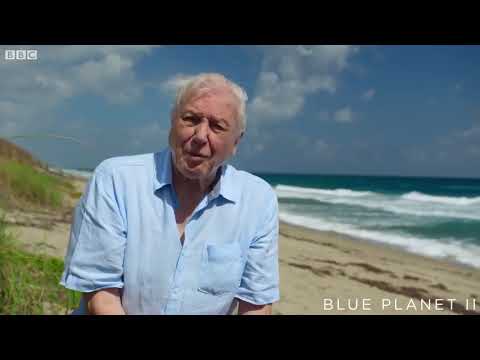 A message from Sir David Attenborough