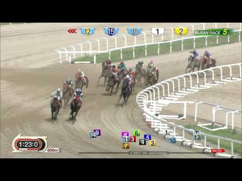 170709 Busan R5 1800m