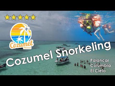 Cozumel Snorkeling Tour (Palancar, Columbia & El Cielo) - August 2022