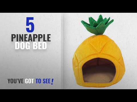 download lagu mp3 mp4 Pineapple Dog House, download lagu Pineapple Dog House gratis, unduh video klip Pineapple Dog House
