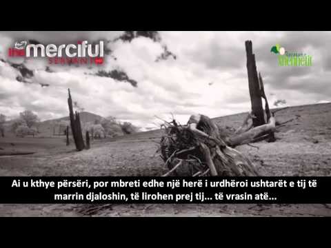 Djaloshi dhe mbreti!