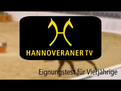 Hannoveraner TV - Eignungstest für Vierjährige Springpferde beim Freispringwettbewerb