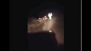 Something really creepy happened on this dark road this night in Kuwait