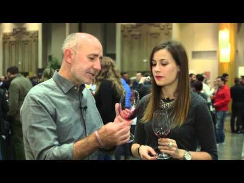 ENTREVISTA BODEGA CELLER MAS DOIX