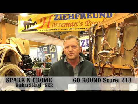 Richard Hagl Wels 2018