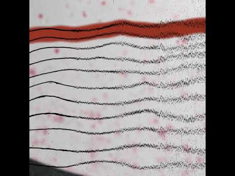 Ali Berger - L-Wave Heart Dynamics