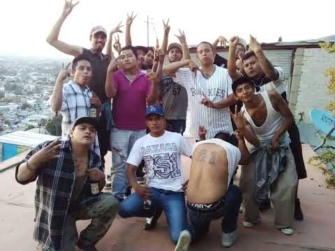 BARRIO XX1 HOMIES EN PINTA