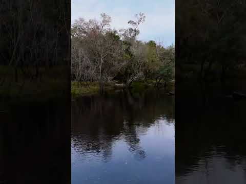 río negro en Florida