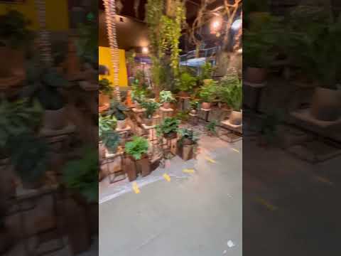 Visitando o Enflor Garden Fair em Holambra-SP #valmirpaesdesignfloral #flowers #saopaulo