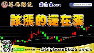 【大戶羅盤籌碼動能】 #謝宗霖1108，該漲的還在漲 (圖)