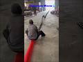 The Waving Wonder of Transverse Waves #3d #trending #shorts
