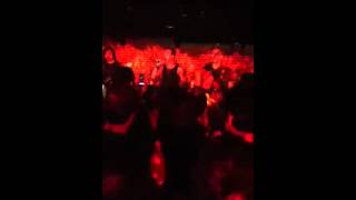 Si te vas elefante en vivo