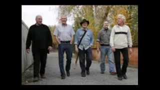 OLD MONKEY'S - SOMEBODY - Cover - The Eagles