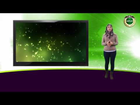 تعلم كيف تتعلم ‎ Video