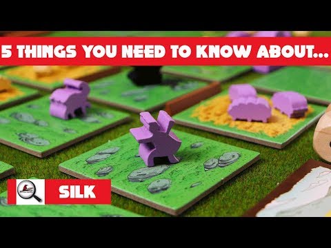 5 Things You Need To Know About Silk