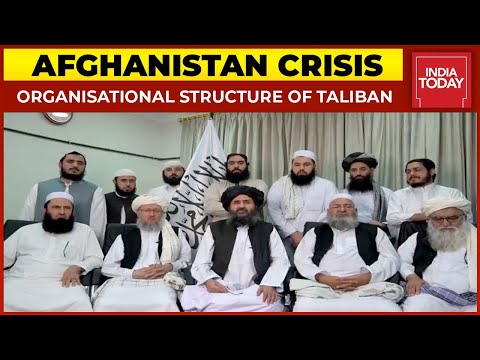 Afghanistan Crisis: Take A Look At The Organisational Structure Of Taliban| Kabul News